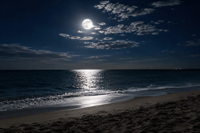 Moonlight of Love
